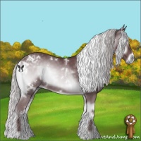 Horse Color:White Spotted Chocolate Silver Blue Onyx Chinchilla 