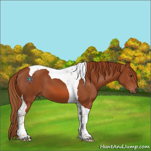 Horse Color:Chestnut Tobiano 