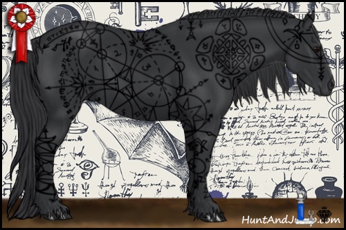 Horse Color:Black 