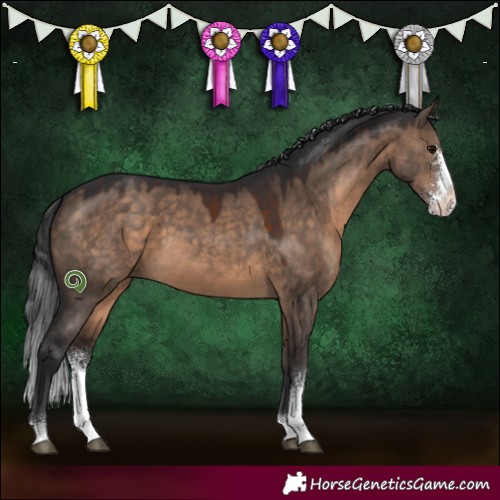 Horse Color:Brown Dun Sabino 