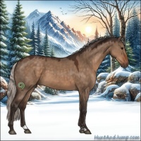 Horse Color:Silver Brown Dun Sabino 
