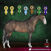 Horse Color:Brown Dun Sabino