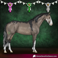 Horse Color:Brown Dun Sabino