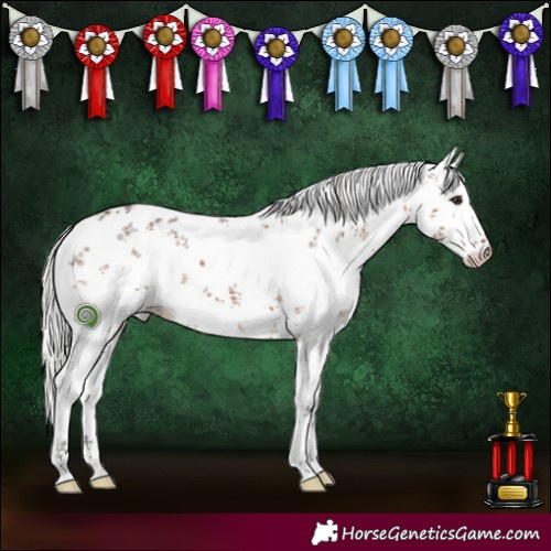 Horse Color:White Spotted Silver Brown Dun Sabino 