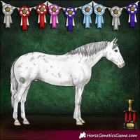 Horse Color:White Spotted Silver Brown Dun Sabino