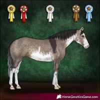 Horse Color:White Spotted Brown Dun 