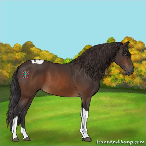 Horse Color:Buckskin Tobiano 