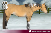 Horse Color:Buckskin Tobiano