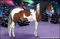 Horse Color:Bay Splash Tobiano 
