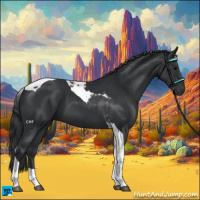 Horse Color:Black Tobiano 