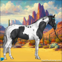 Horse Color:Black Tobiano 