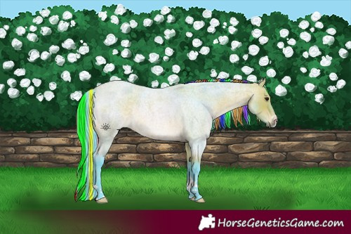Horse Color:Painted Watercolor Bay Roan 