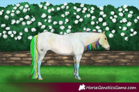Horse Color:Painted Watercolor Bay Roan 