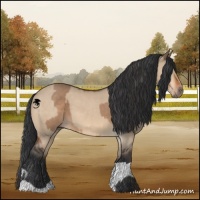 Horse Color:Bay Dun  and Bay Dun 