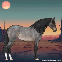 Horse Color:Brown Roan Rabicano 