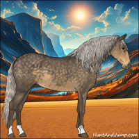 Horse Color:Silver Smoky Blue Roan