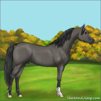 Horse Color:Grullo Brindle 