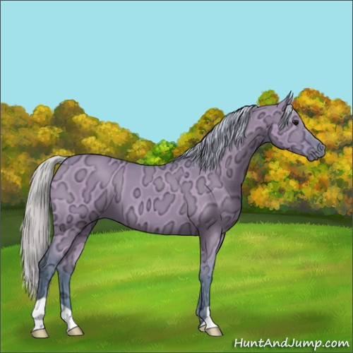 Horse Color:Watercolor Silver Grullo Ice 