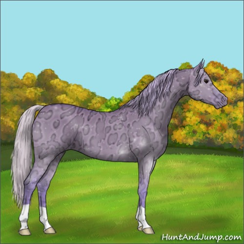 Horse Color:Watercolor Silver Grullo Ice