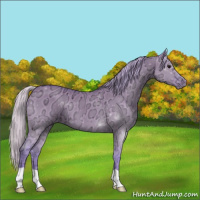 Horse Color:Watercolor Silver Grullo Ice 