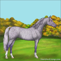 Horse Color:Watercolor Silver Grullo Chinchilla Ice Roan Rabicano 