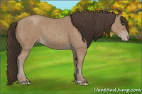 Horse Color:Classic Champagne 