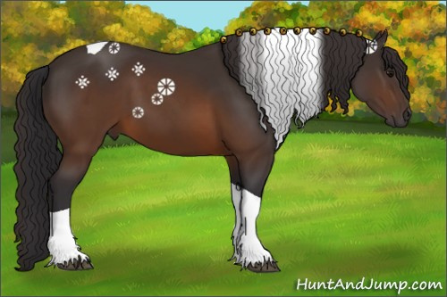 Horse Color:Buckskin Tobiano 