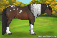 Horse Color:Buckskin Tobiano 