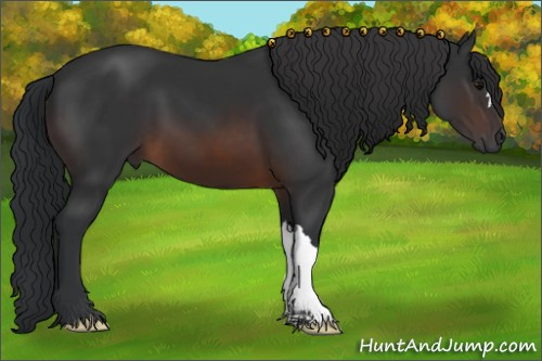 Horse Color:Brown 