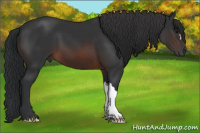 Horse Color:Brown 