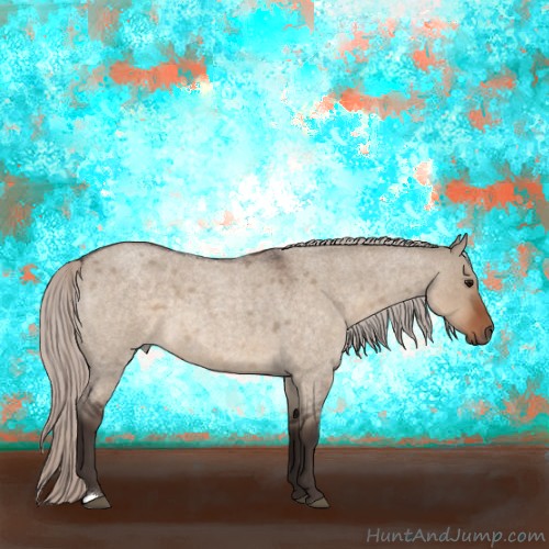 Horse Color:Silver Brown Roan Dun 