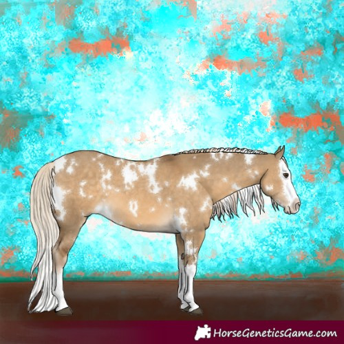 Horse Color:White Spotted Chocolate Palomino Dun Splash 