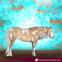 Horse Color:White Spotted Chocolate Palomino Dun Splash 