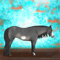 Horse Color:Blue Roan Frame
