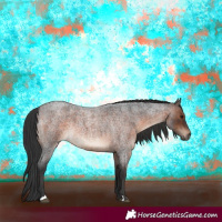 Horse Color:Brown Roan Rabicano 