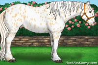 Horse Color:Palomino Leopard 