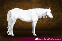 Horse Color:Silver Grullo Sabino 
