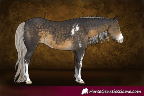 Horse Color:Silver Smoky Black Sabino