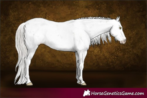 Horse Color:Silver Grullo Sabino