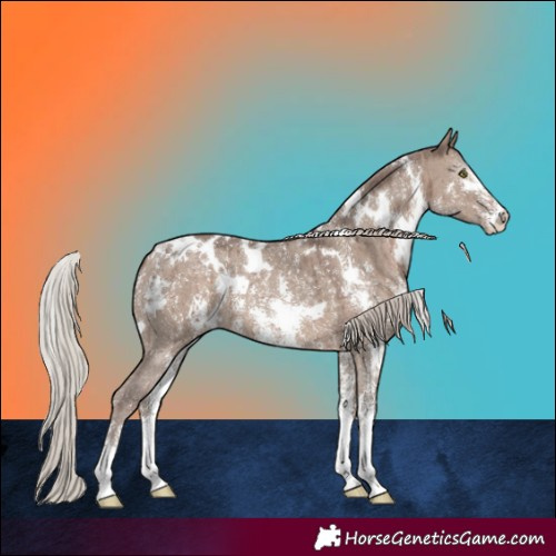 Horse Color:White Spotted Silver Grullo Sabino Brindle 
