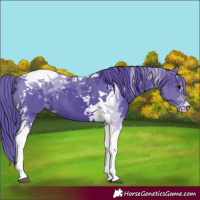 Horse Color:Watercolor Black Tobiano 