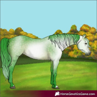 Horse Color:Gray Watercolor Bay 