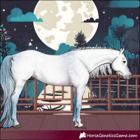 Horse Color:Gray Watercolor Bay 