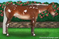 Horse Color:White Spotted Silver Brown