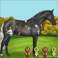 Horse Color:White Spotted Liver Chestnut Mushroom 