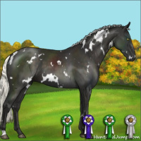 Horse Color:White Spotted Liver Chestnut Mushroom 