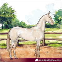 Horse Color:White Spotted Red Dun Pearl 
