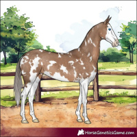 Horse Color:White Spotted Liver Red Dun Splash 