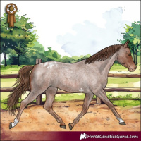 Horse Color:Red Roan Varnish 