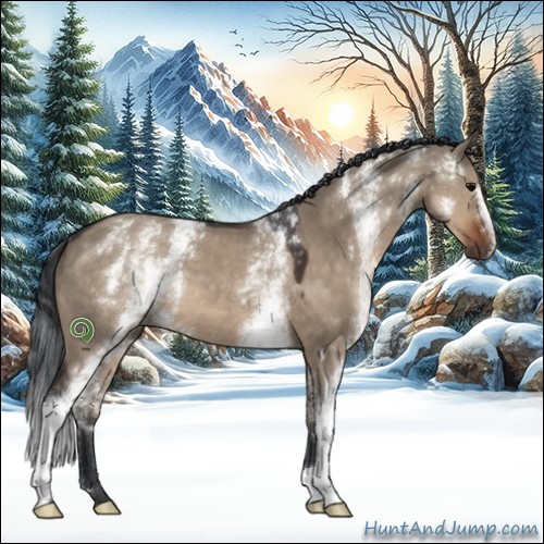 Horse Color:White Spotted Brown Dun 